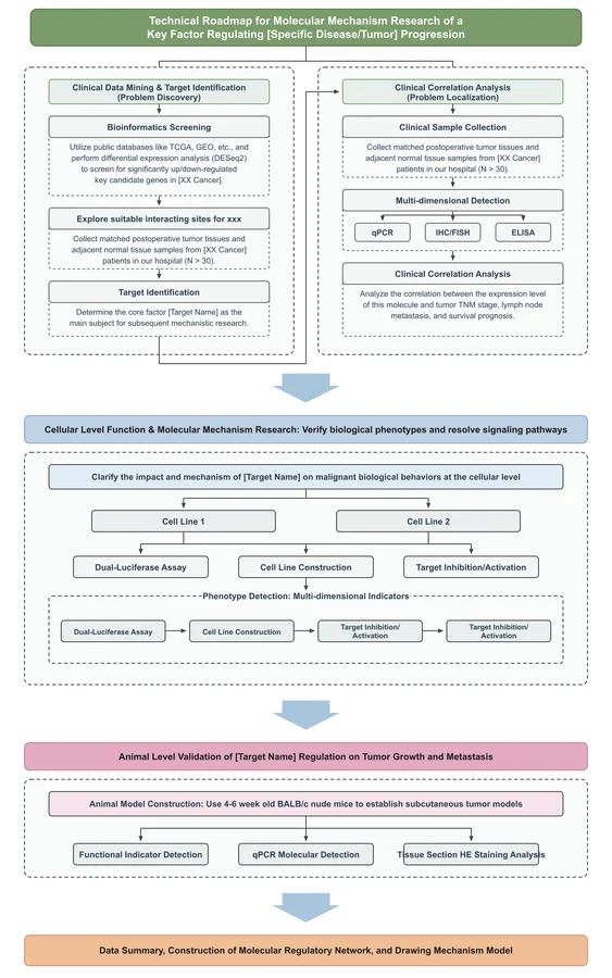 Technical Roadmap 002