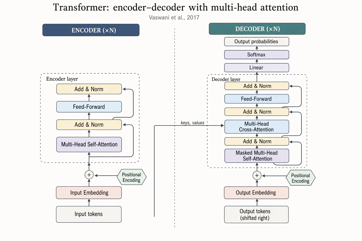 Transformer encoder–decoder architecture — Model explainers